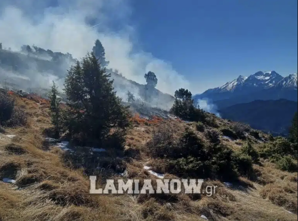 Πυρκαγιά σε δασική έκταση στο Νεοχώρι Φθιώτιδας